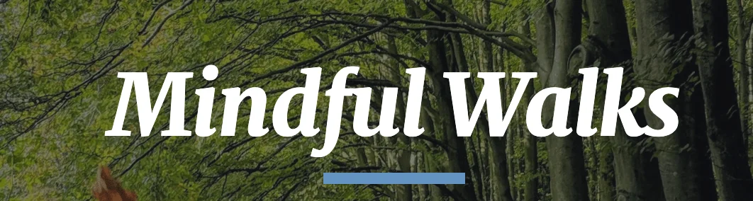 Mindful Walks - Forest Bathing Walks