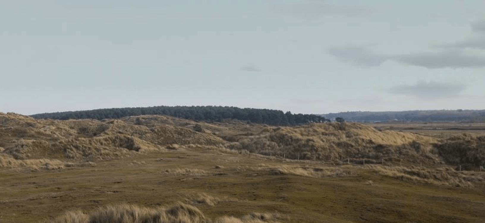 Norfolk County Council - Norfolk Trails