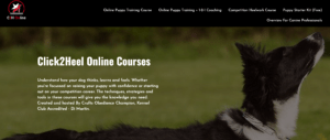 Di martin online dog training