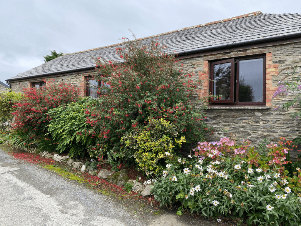 Seaberry_cottage_with_a_sea_view_Boscastle_Cornwall_Polrunny_Farm_Holiday_Cottages