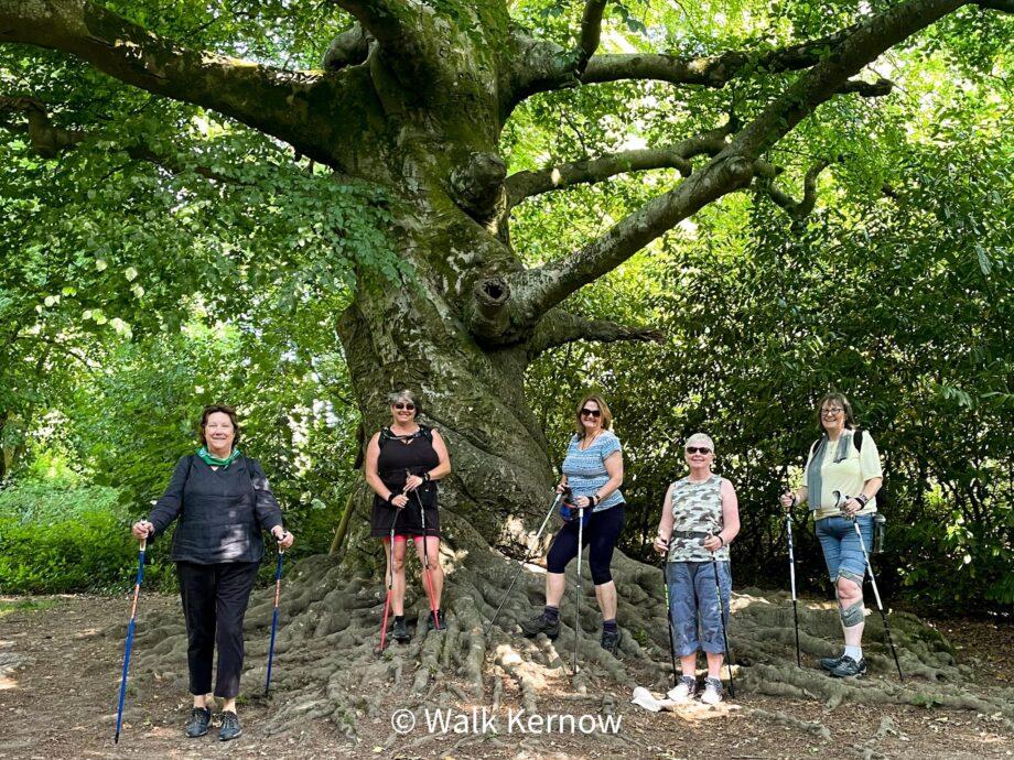 Walk Kernow