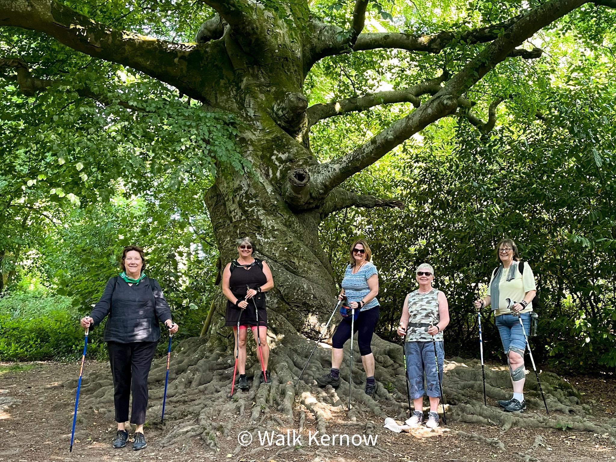 Walk Kernow