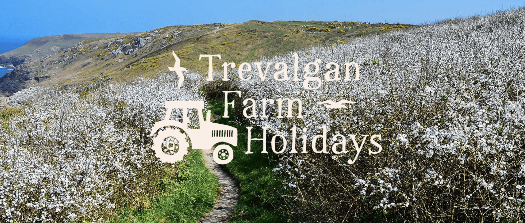 Trevalgan Farm Holidays