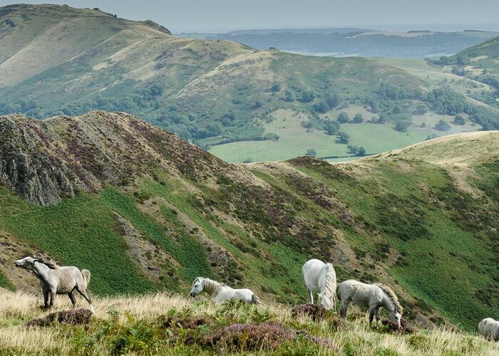 Secret Hills Walking Holidays