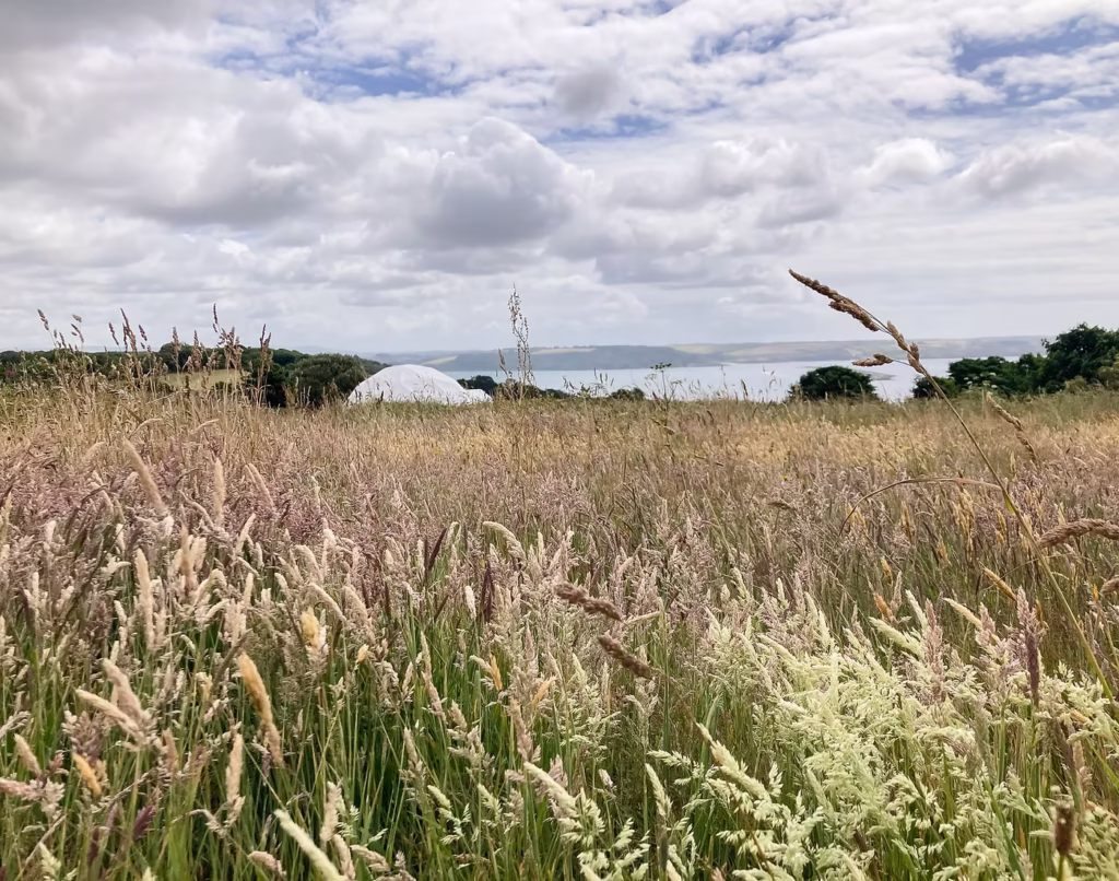WilderMe - Glamping Retreats for Everyone